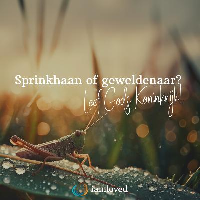 Sprinkhaan of Geweldenaar? Sprinkhaan of Geweldenaar?