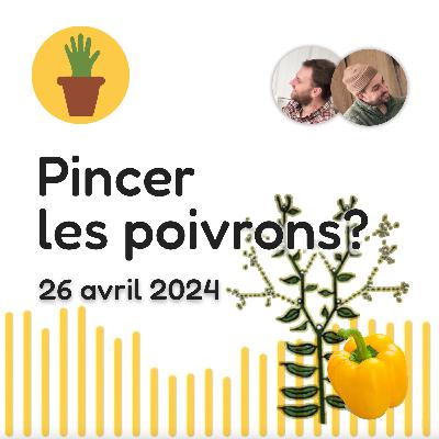 Chronique de la semaine: Faut-il pincer ses poivrons? 26 avril 2024