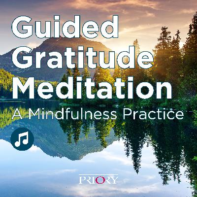 Guided Gratitude Meditation [NO MUSIC/SFX]