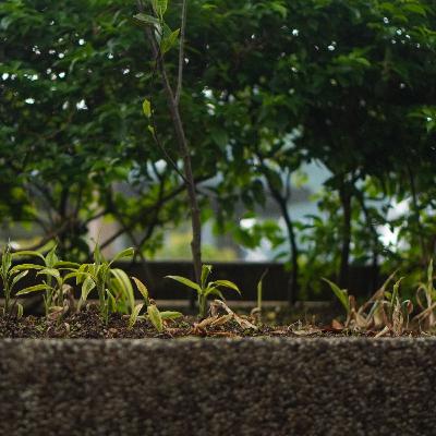 Memajukan Pendidikan Indonesia Bersama Teknologi Pendidikan