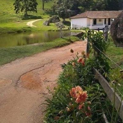 Ali baba e os quarenta ladrões