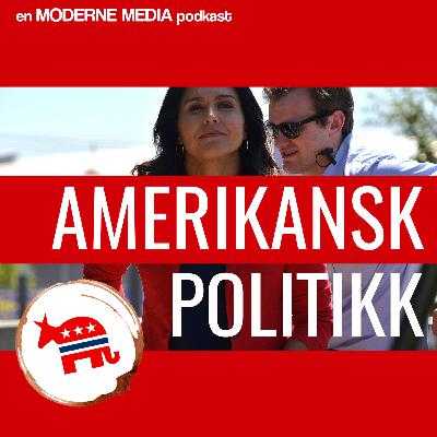 Er RFK eller Tulsi i mest trøbbel nå?