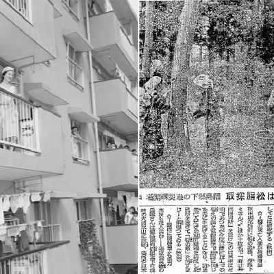 森にも団地にも生かされてきた　戦争にも巻き込みながら　100年をたどる旅⑳ #2168