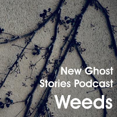29 - Weeds 29 - Weeds