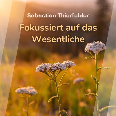 Fokussiert auf das Wesentliche (Sebastian Thierfelder)