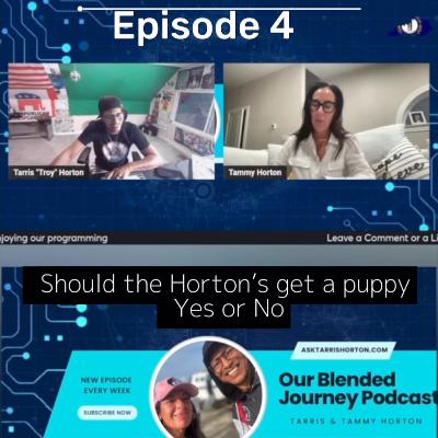 Our Blended Journey Podcast Season 1 Episode 4