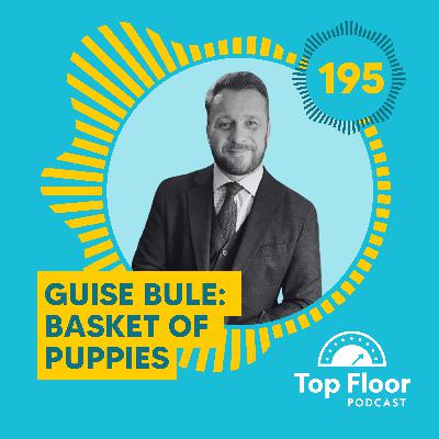 195 | Basket of Puppies