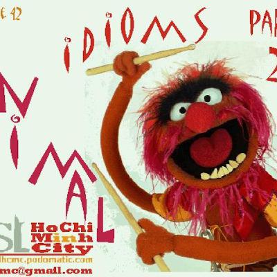 Animal Idioms - Part Two (Episode 42)