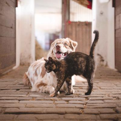 47. Var det kanske bättre förr.. 47. Var det kanske bättre förr..