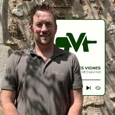 Saint-Chinian I Julien Calvet : Saint-Chinian mode d'emploi (Extrait)