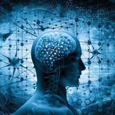 RENEWAL PROCESS (HINDI) RENEWAL PROCESS (HINDI)