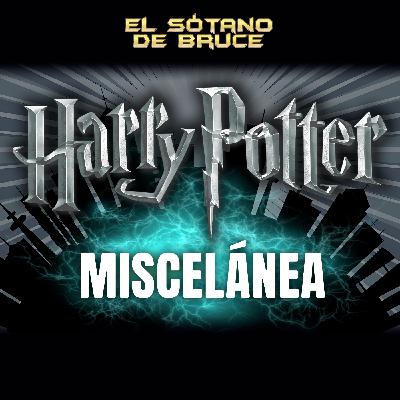 ESdB 7x07: HARRY POTTER MISCELÁNEA
