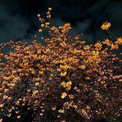 Frente al espejo Frente al espejo