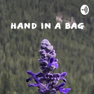 hand in a bag  (Trailer)