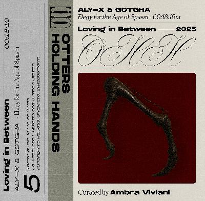 OHH - Elegy for the Age of Spasm — ALY-X & Gotgha