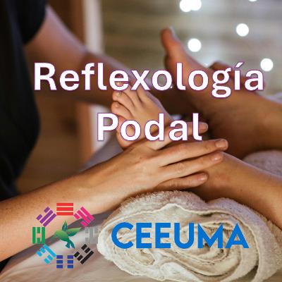 Reflexología podal, Episodio 6