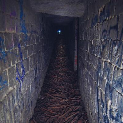 Episode 29: Las Catacumbas de París, y Un Egipto Maldito. Episode 29: Las Catacumbas de París, y Un Egipto Maldito.