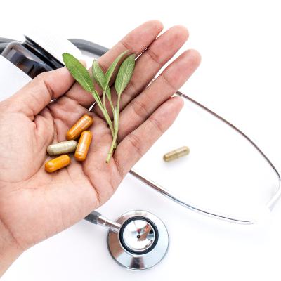 Understanding Herbal-based Therapies