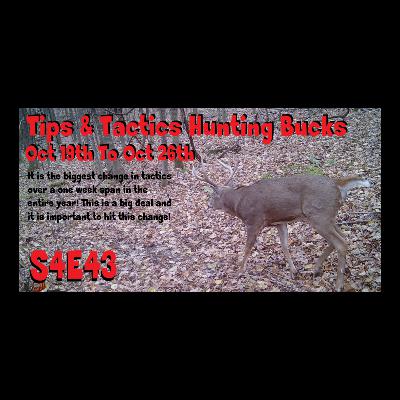 Tips and Tactics for hunting bucks Oct 19th to 26th The Obsession Podcast s4e43