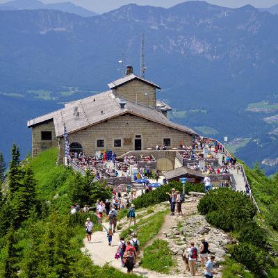 Buzzing the Eagle's Nest Buzzing the Eagle's Nest