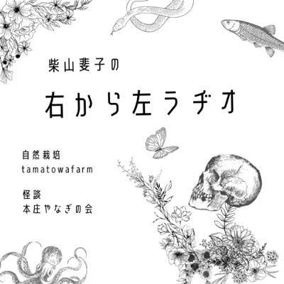 【コラボ回】テラーサマナーズ「おてもんたの思いっきり生相談！」