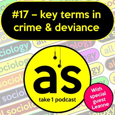 #17: Key terms in Crime & Deviance #17: Key terms in Crime & Deviance