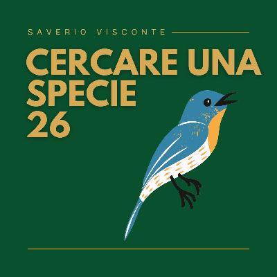 26 - Cercare una specie 26 - Cercare una specie