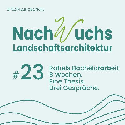 #23 Rahels Bachelorarbeit - 8 Wochen . Eine Thesis . Drei Gespräche