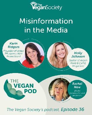 Misinformation In The Media