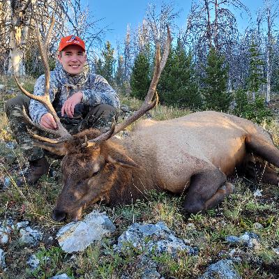 Wyoming Elk Hunt Update!