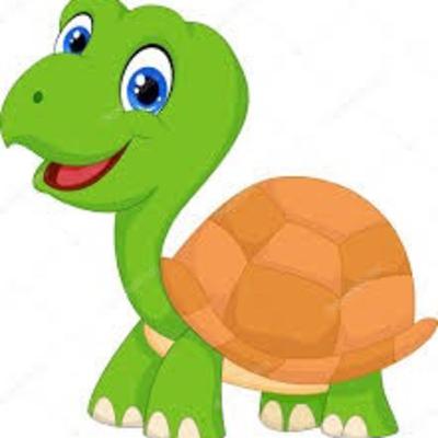 Uga, la tortuga