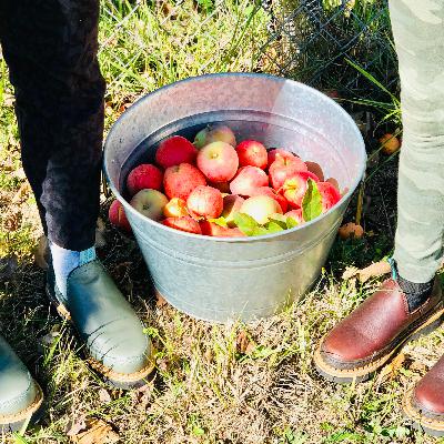 Two Perfectly Fall Activities Minutes From Five Wineries