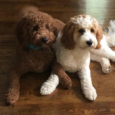 Ch 10 - Guilt in Overdrive