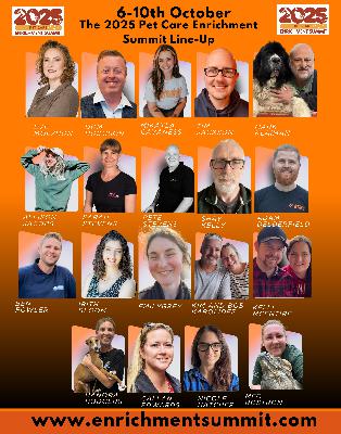 Episode 420: Why Enrichment is the Golden Key: How Smart Daycares Are Charging More and Delivering Better