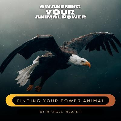 Finding your Personal Power Animal