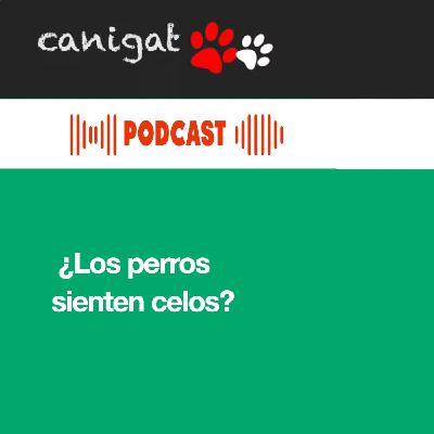 139 - ¿Los perros sienten celos?