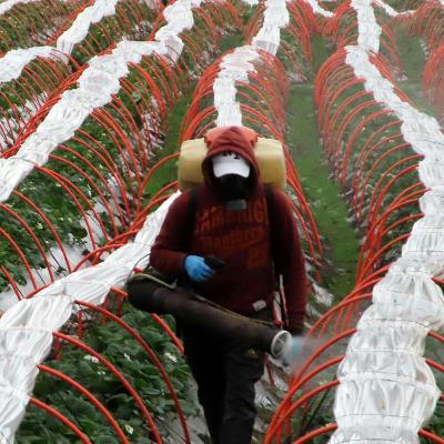 La tasa de desempleo nacional se ubicó en 8,5% en el trimestre de julio a septiembre