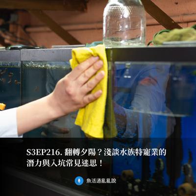 S3EP216. 翻轉夕陽？淺談水族特寵業的潛力與入坑常見迷思！
