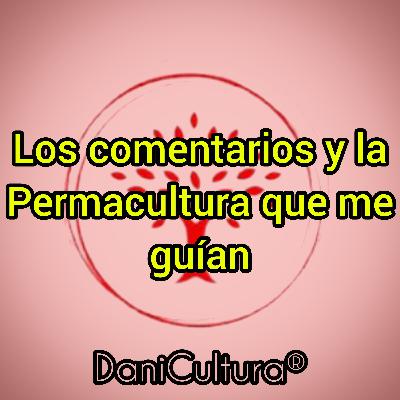 Los comentarios y la Permacultura que me guían