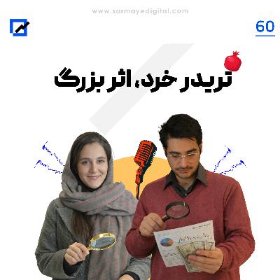 تریدر خرد ، اثر بزرگ