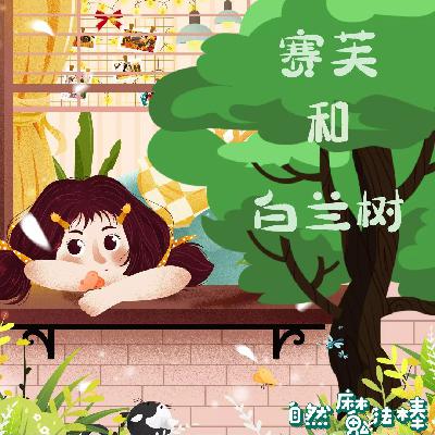 15 地球伙伴|赛芙和白兰树 15 地球伙伴|赛芙和白兰树