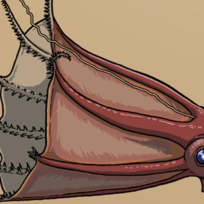 A Spooky Species Special 2025