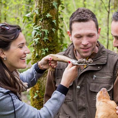 Truffle Hunting with Nikola Tarandek in Istria