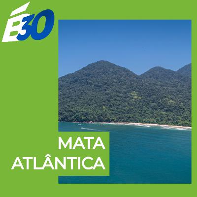 Mata Atlântica