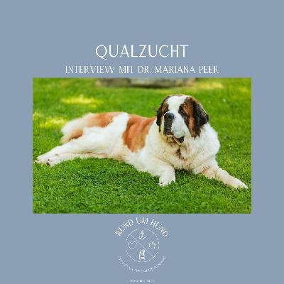 Qualzucht - Interview mit Dr. Mariana Peer