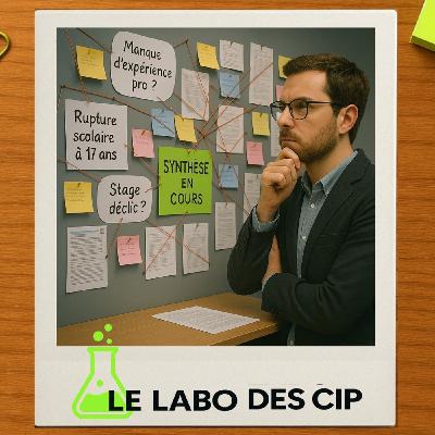 La synthèse professionnelle