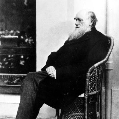 L’evoluzionista riluttante