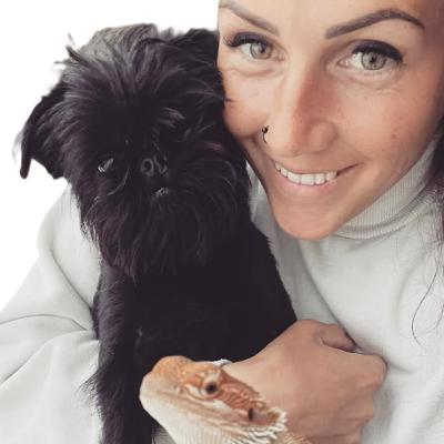 Légkondis hotel kutyáknak, ahol a napközisek pont olyanok, mint a gyerekek