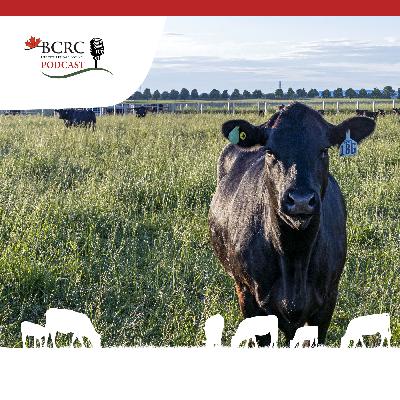 Episode 84: Looking to Make the Most of Forage Quality? Episode 84: Looking to Make the Most of Forage Quality?