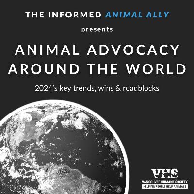Animal advocacy around the world: 2024's key trends, wins & roadblocks